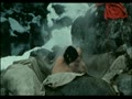 アダルト動画:藤田弓子01